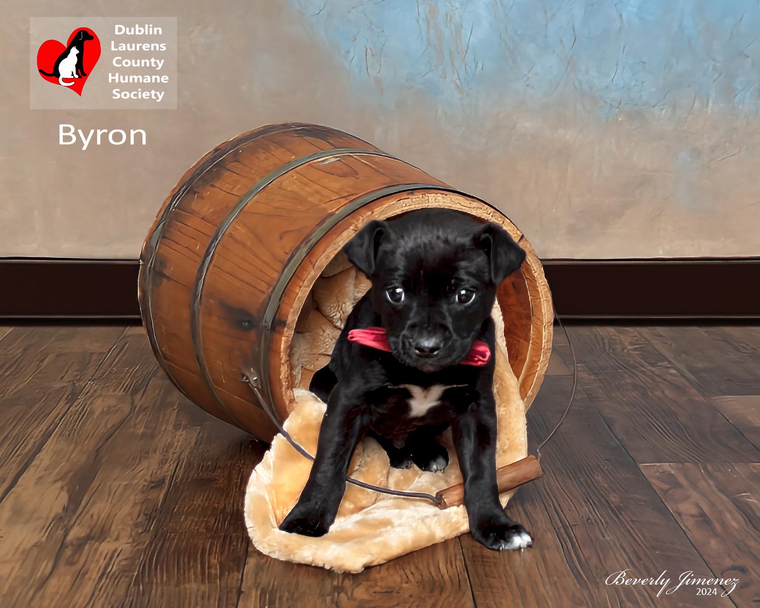Byron