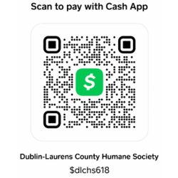 CashApp