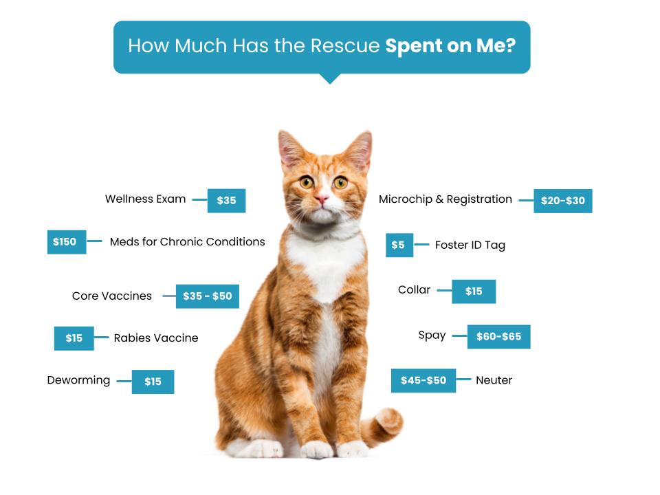 Dublin Laurens Humane Society Fee Graphic (1)