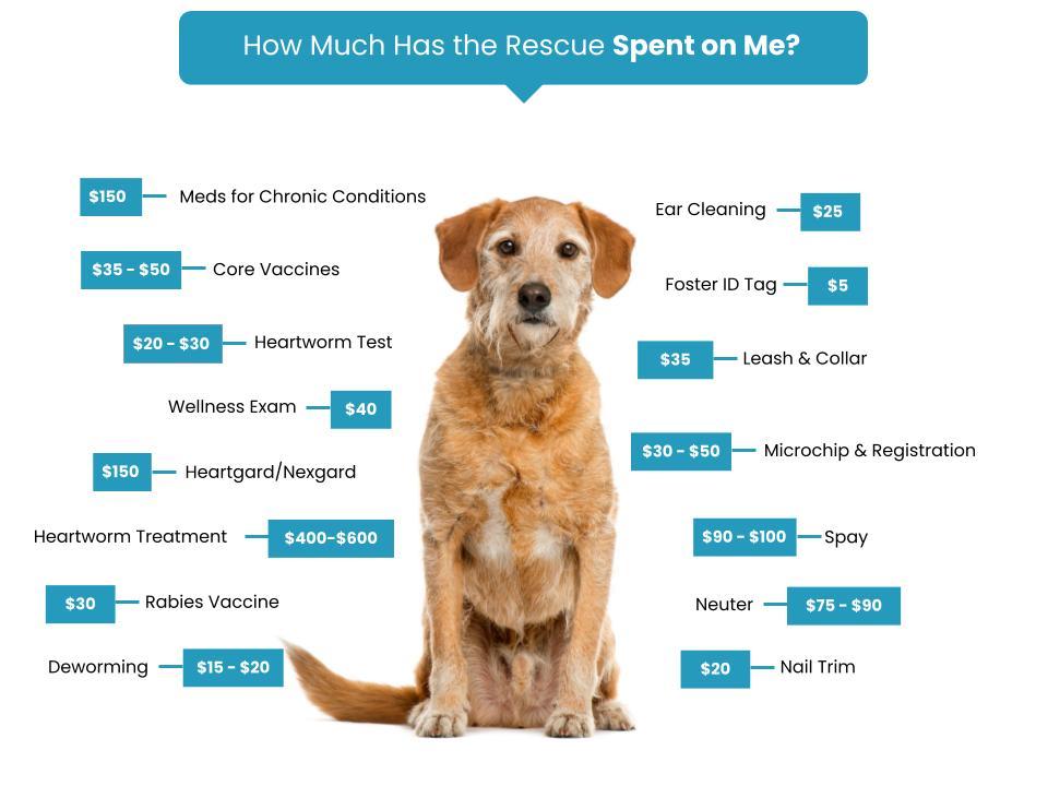 Dublin Laurens Humane Society Fee Graphic